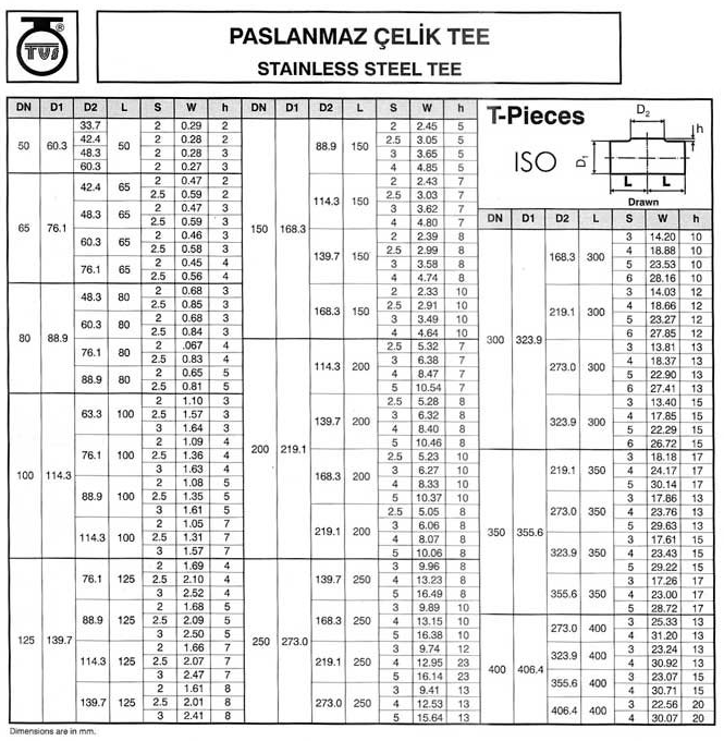 Dikişli Tee ASTM A 403-ANSI